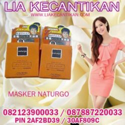 Masker Lumpur Naturgo Mencerahkan Wajah Secara Alami